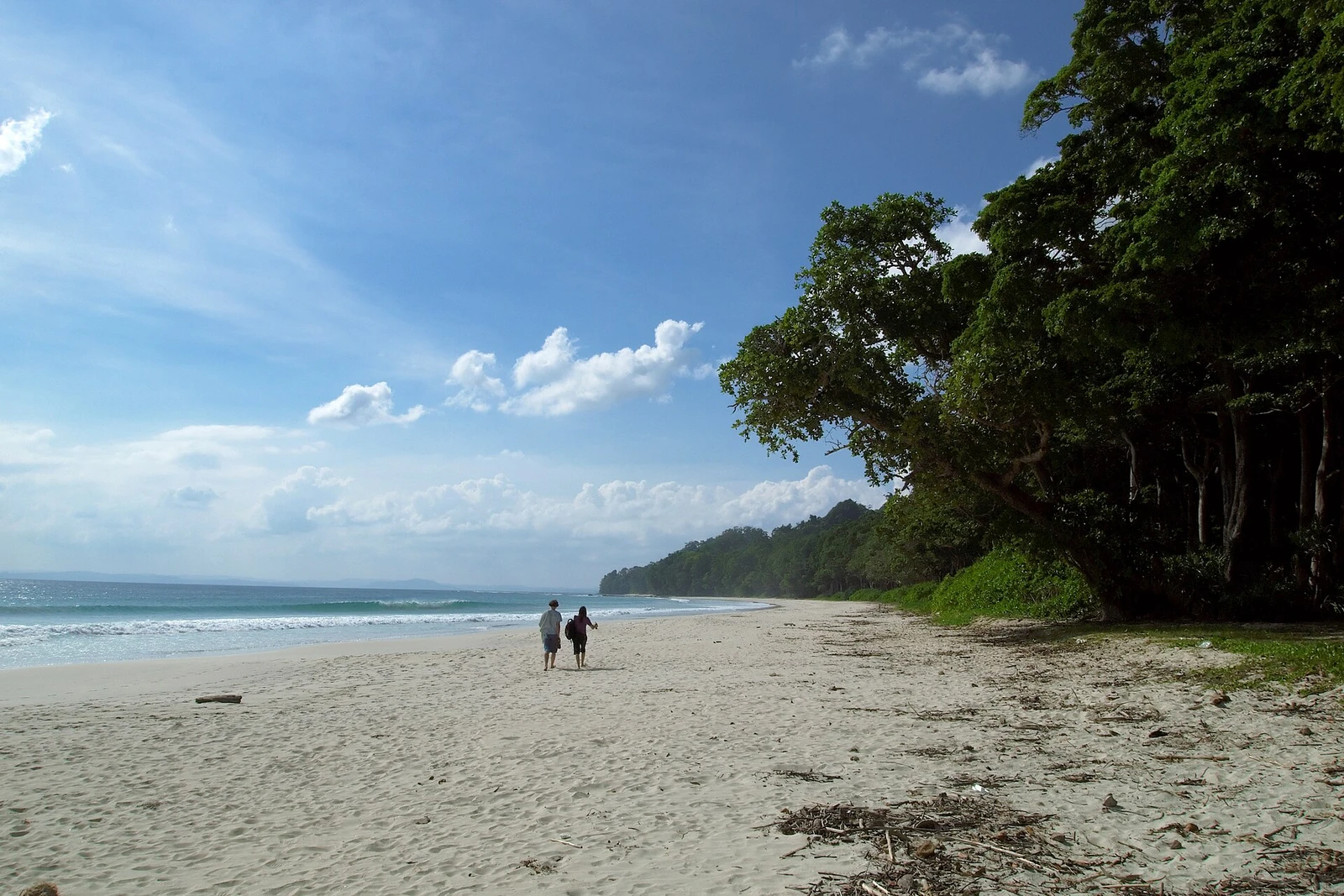 Havelock Island, Radhanagar Beach, tropical bliss, Andaman Islands.jpg