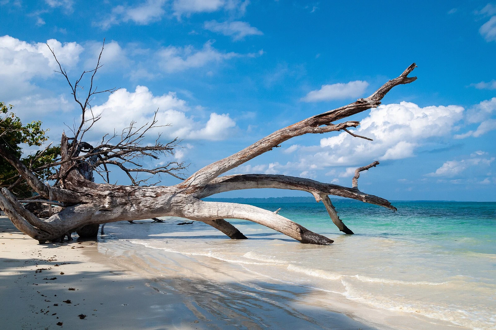 Havelock Island, Sandy lagoon, Andaman Islands.jpg