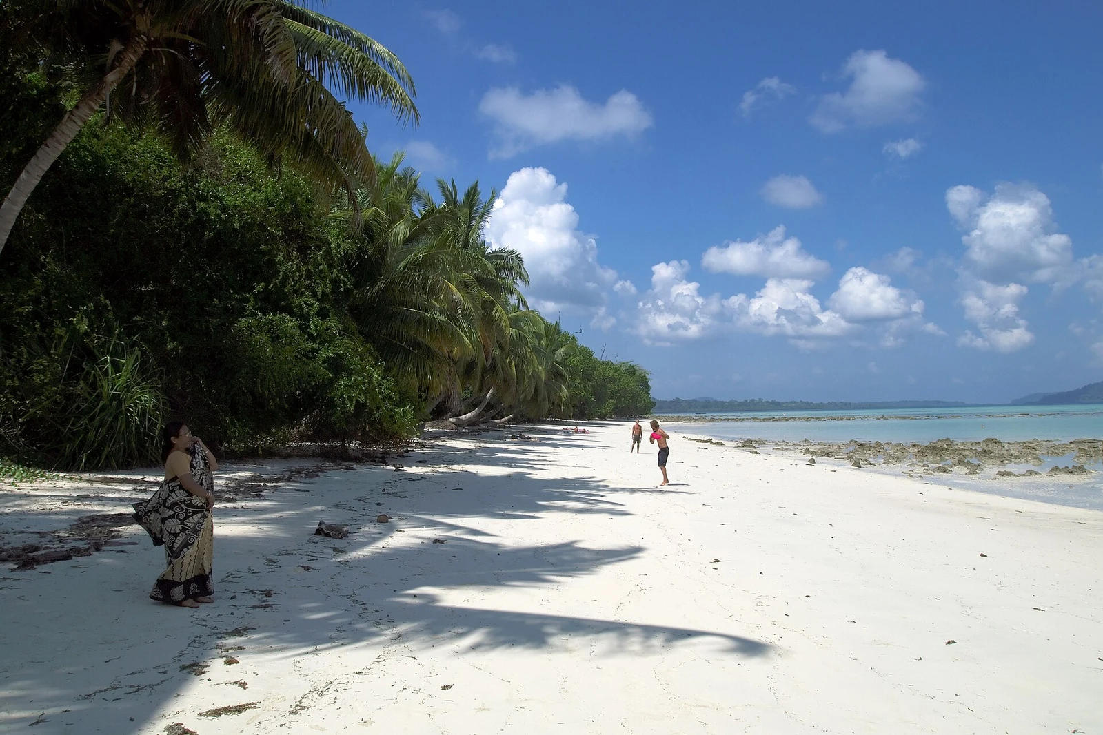 Havelock Island, East beach 2, Andamans.jpg