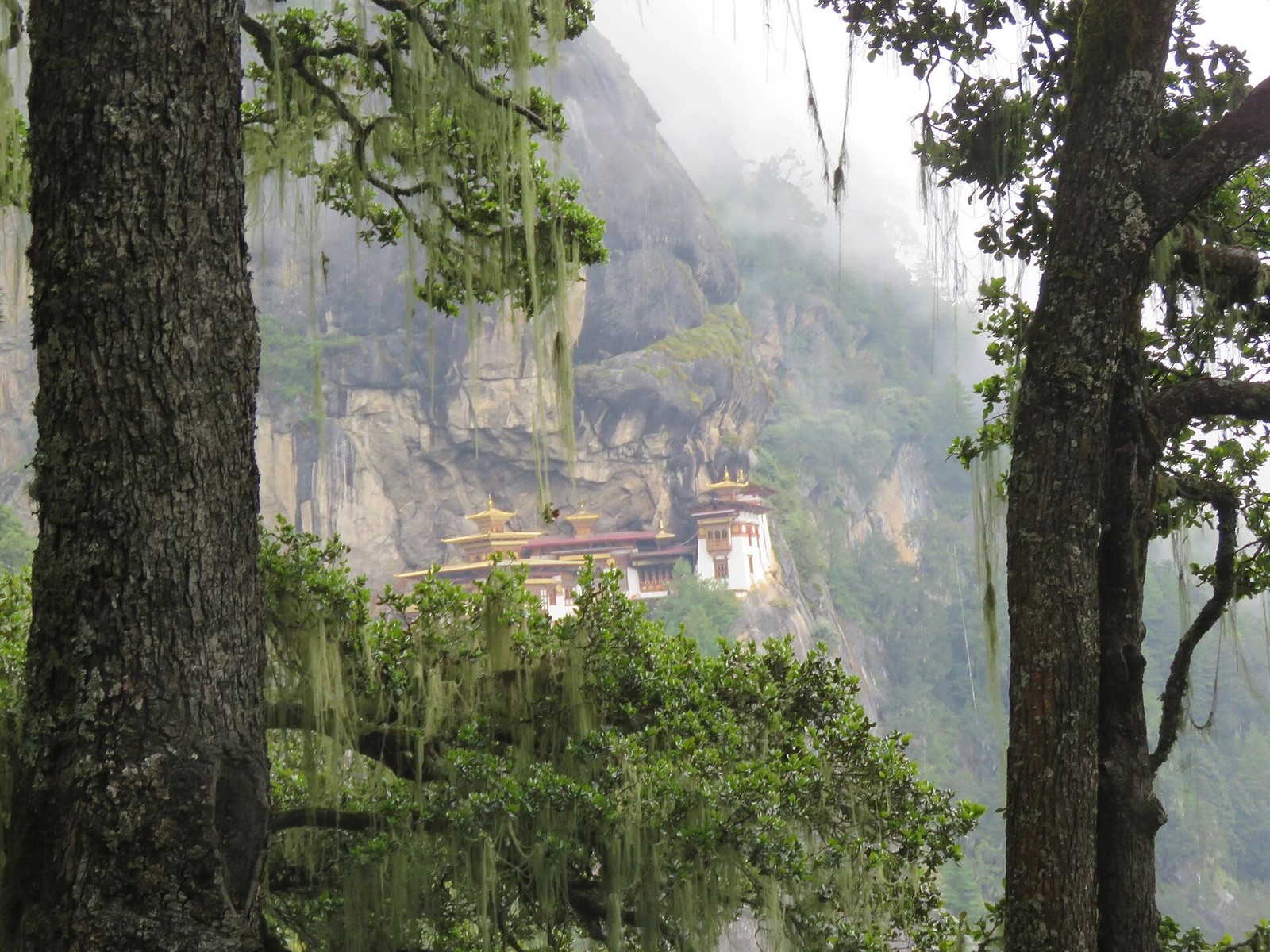Paro Taktsang, Taktsang Palphug Monastery, Tiger's Nest -views from the trekking path- during LGFC - Bhutan 2019 (a1).jpg