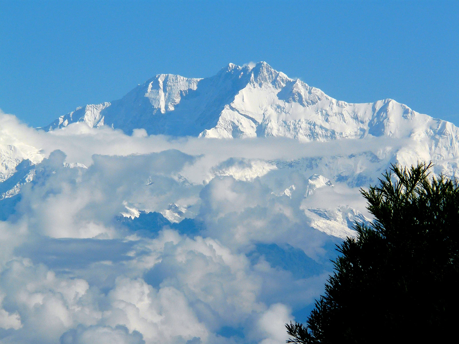 Darjeeling