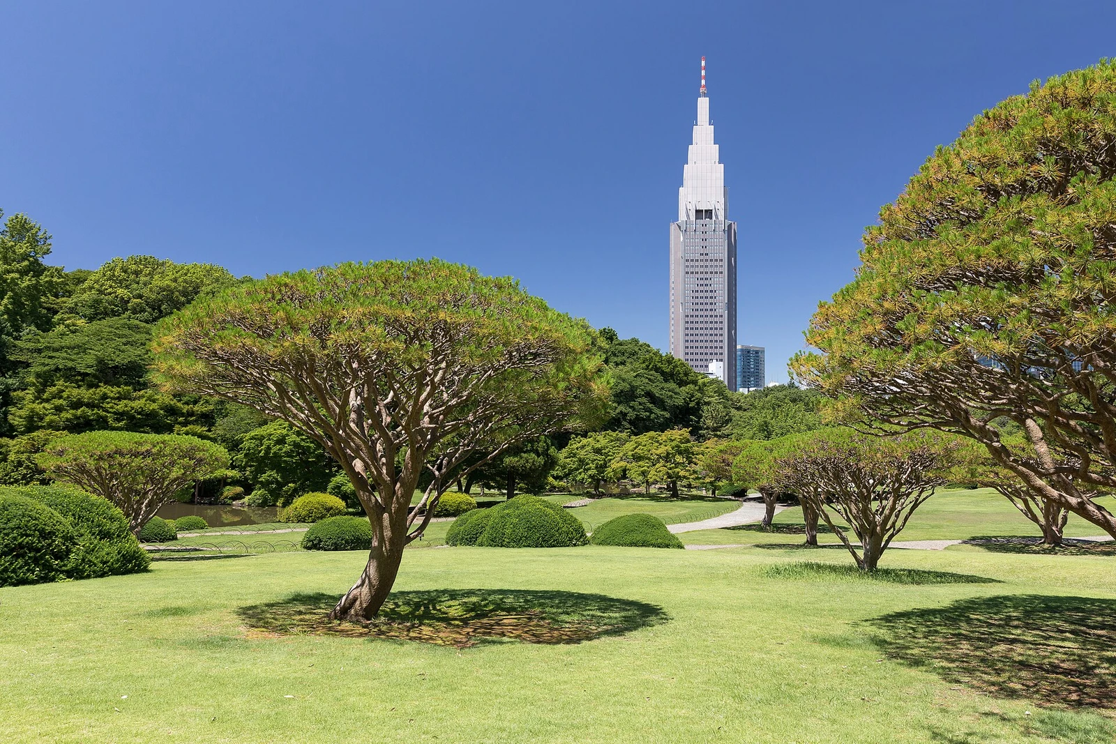 Shinjuku Gyoen National Garden and NTT DoCoMo Yoyogi Building, Tokyo, Japan.jpg