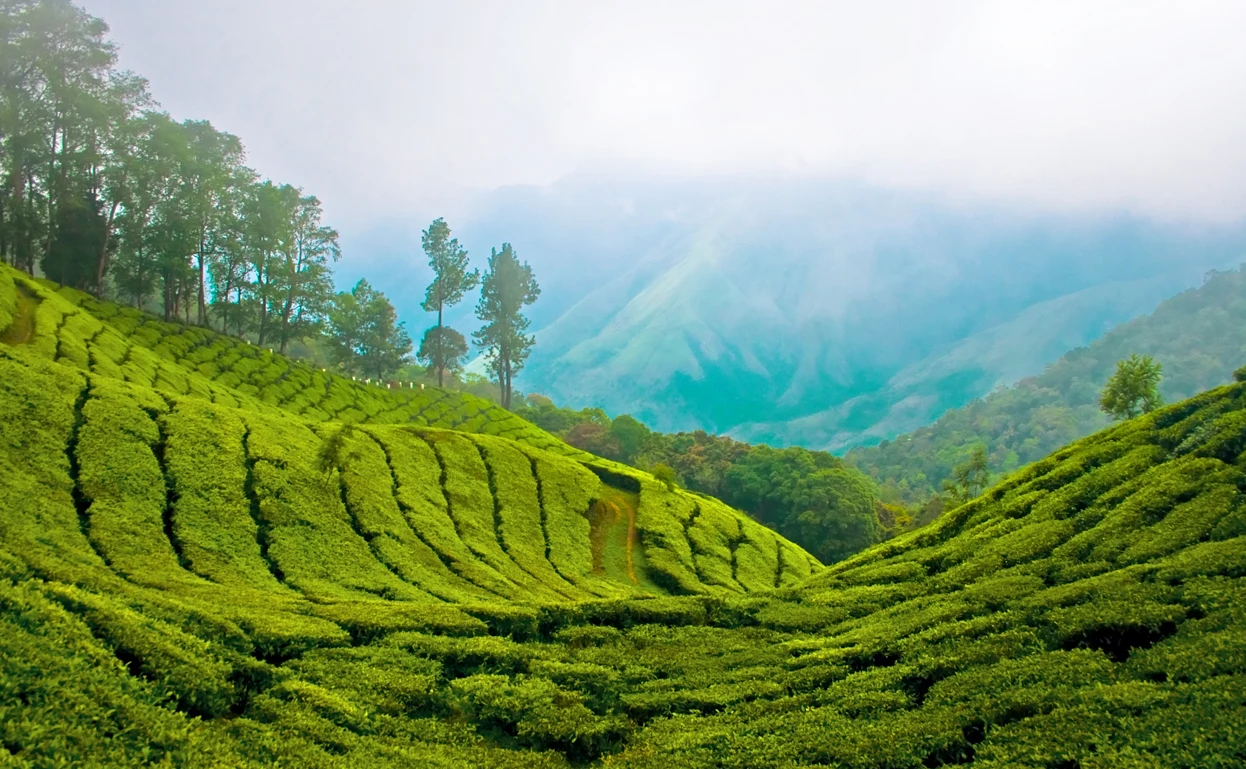 kerala destination view