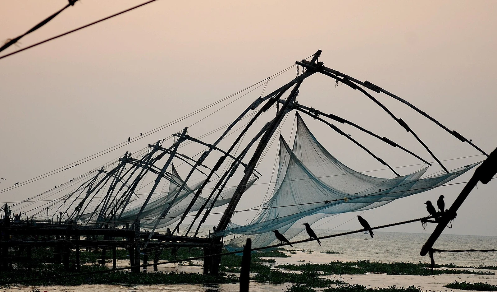 Chinese fishingnet kochi.jpg