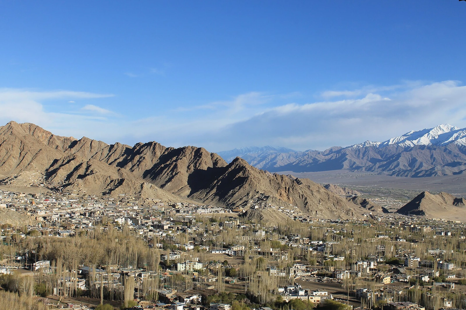 Leh Village from Shanti Stupa 2.jpg