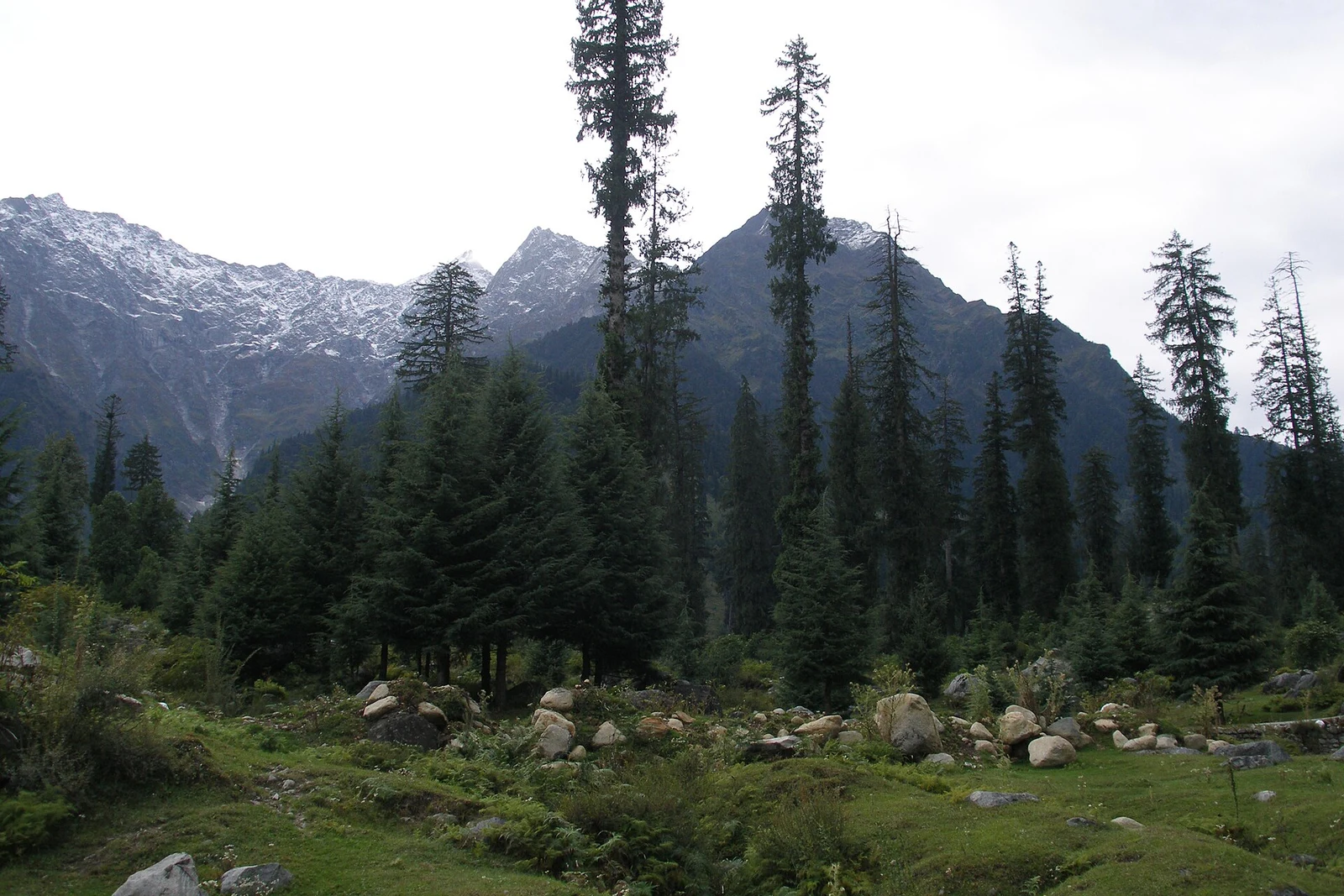 Solang Valley, India.jpg