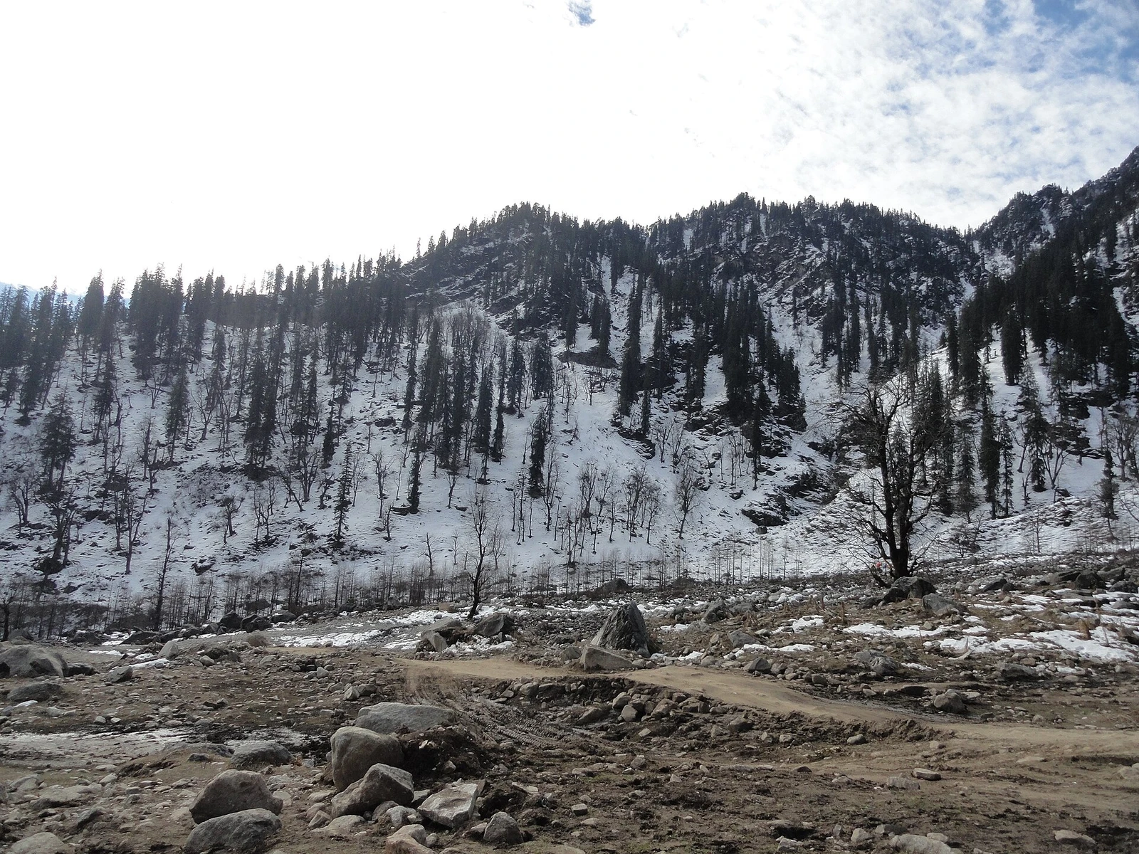 Solang Valley, Manali.jpg