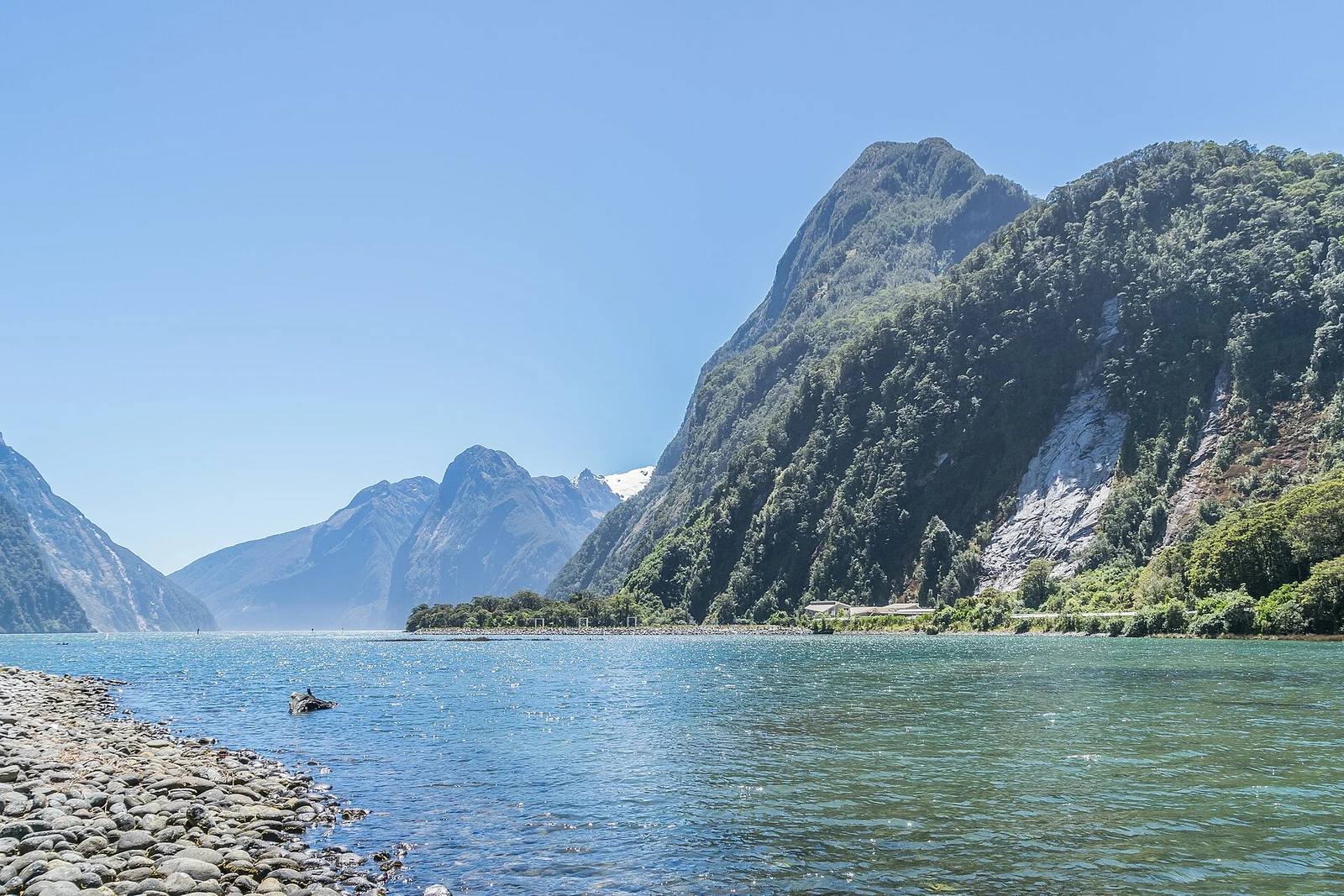 Milford Sound in Fiordland National Park 01.jpg