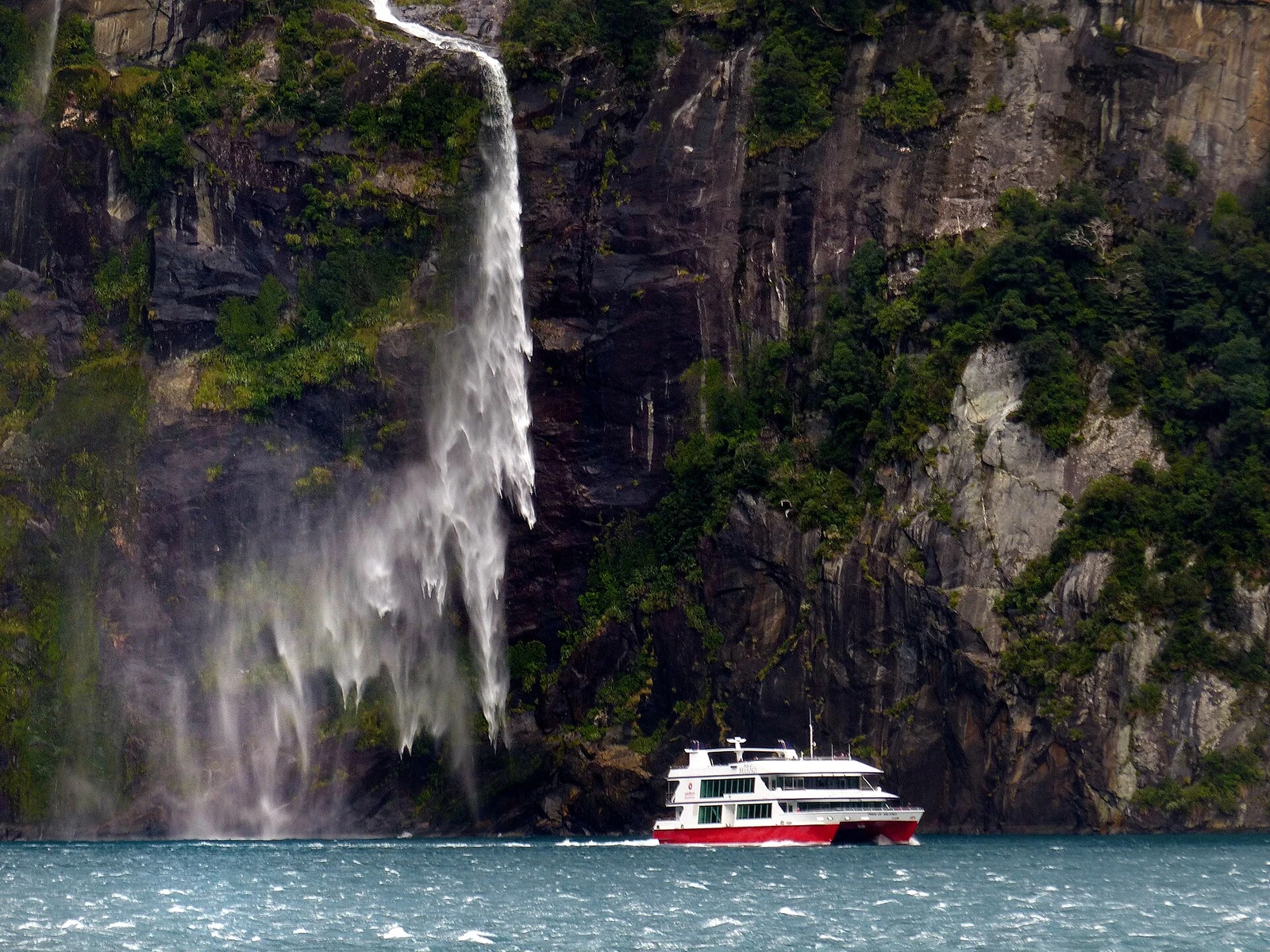 Cruising on Milford Sound; 2014.jpg