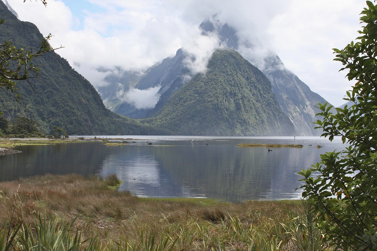 Milford Sound and Sinbad Gully -New Zealand-9Jan2009.jpg