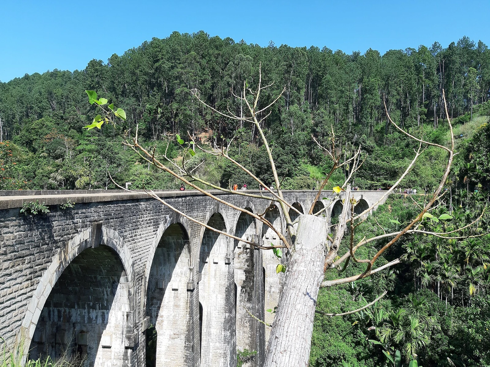 Nine-Arch Bridge in Sri Lanka.jpg