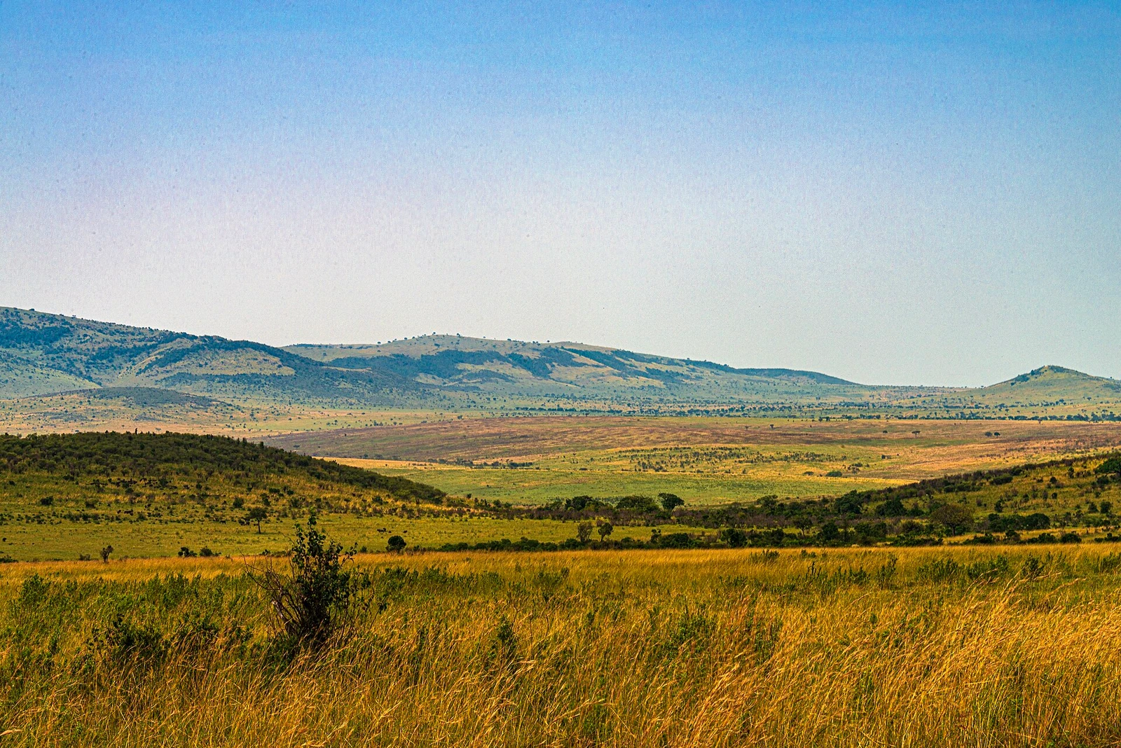 Kenya-Tanzania border landscape between Maasai Mara and Serengeti.jpg
