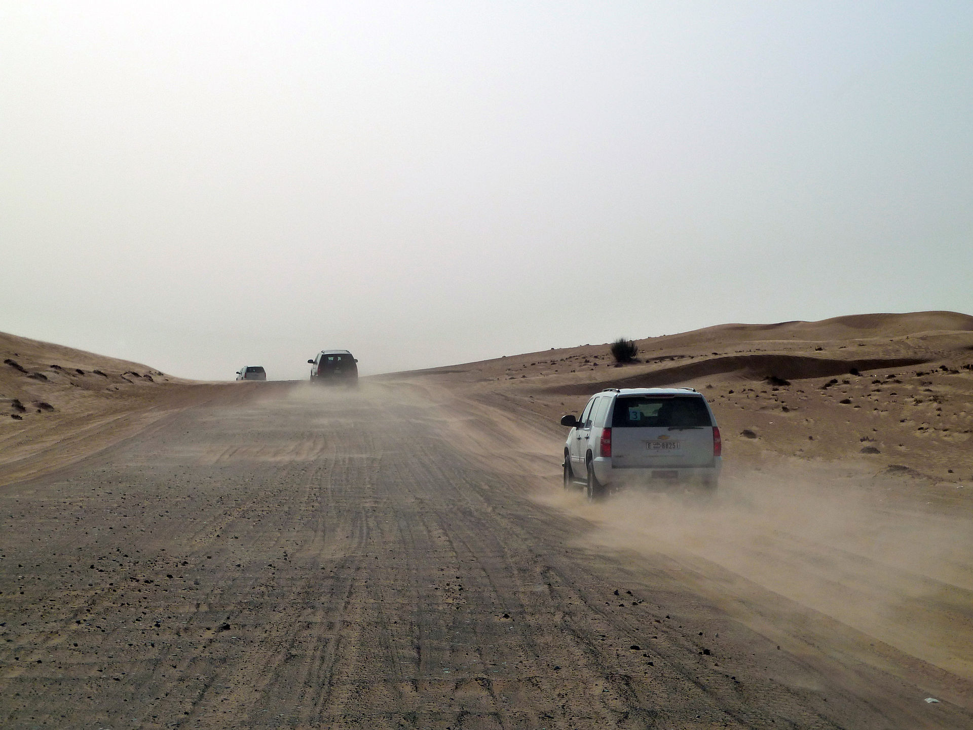 Dubai Family Packages