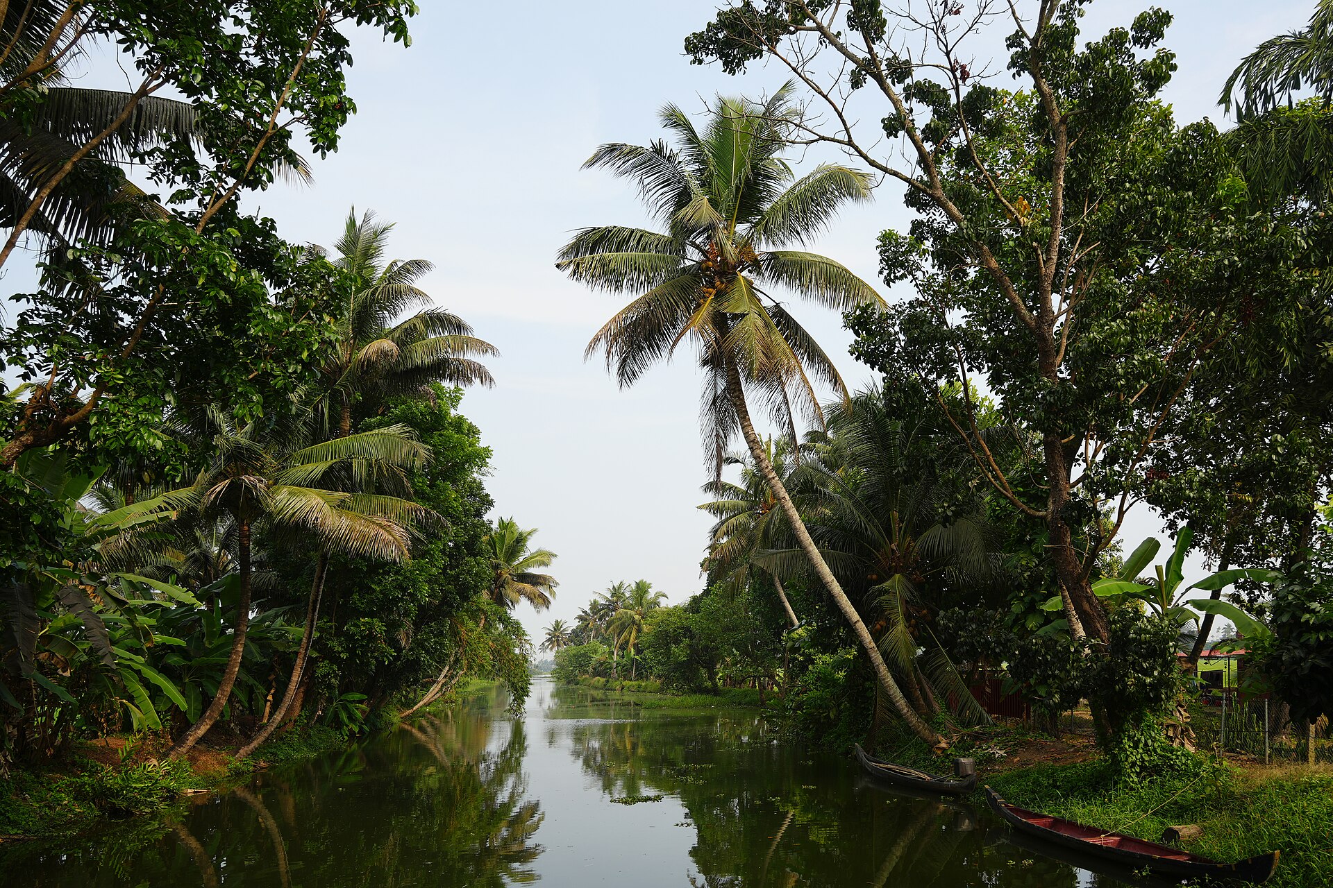 Kerala Tour Packages