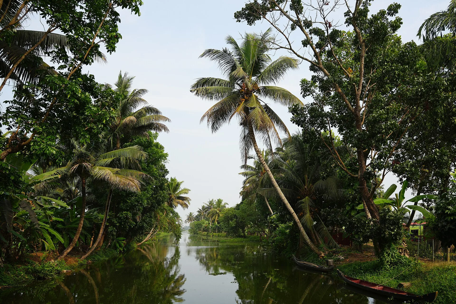 Kerala Honeymoon Packages