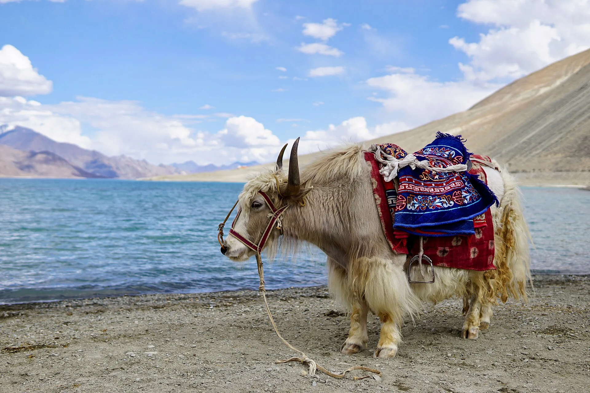 Ladakh travel image 2