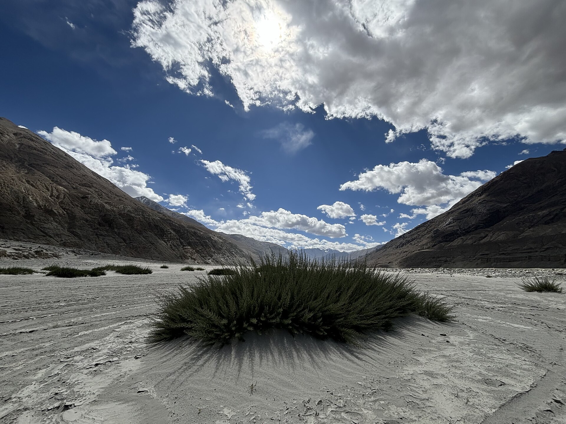 Ladakh Family Delight (5N/6D)