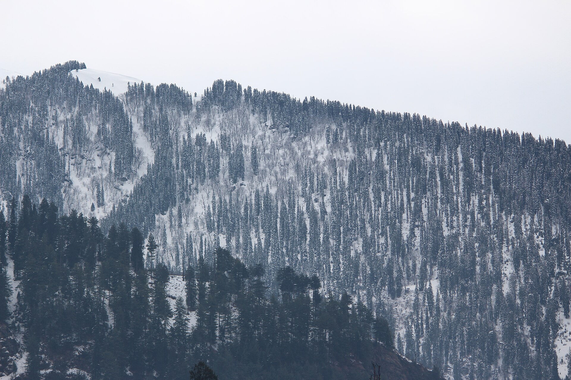 Manali Premium Journey (5N/6D)