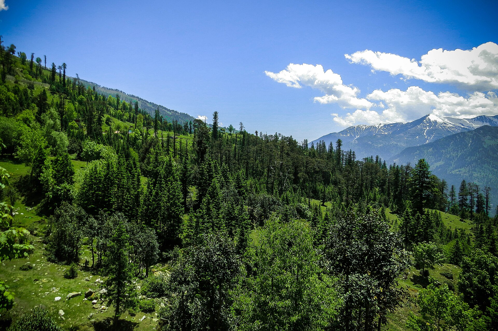 Manali Family Delight (5N/6D)