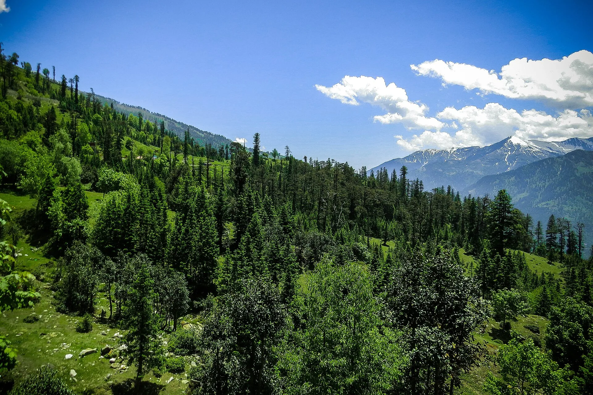 Manali Essentials (3N/4D)