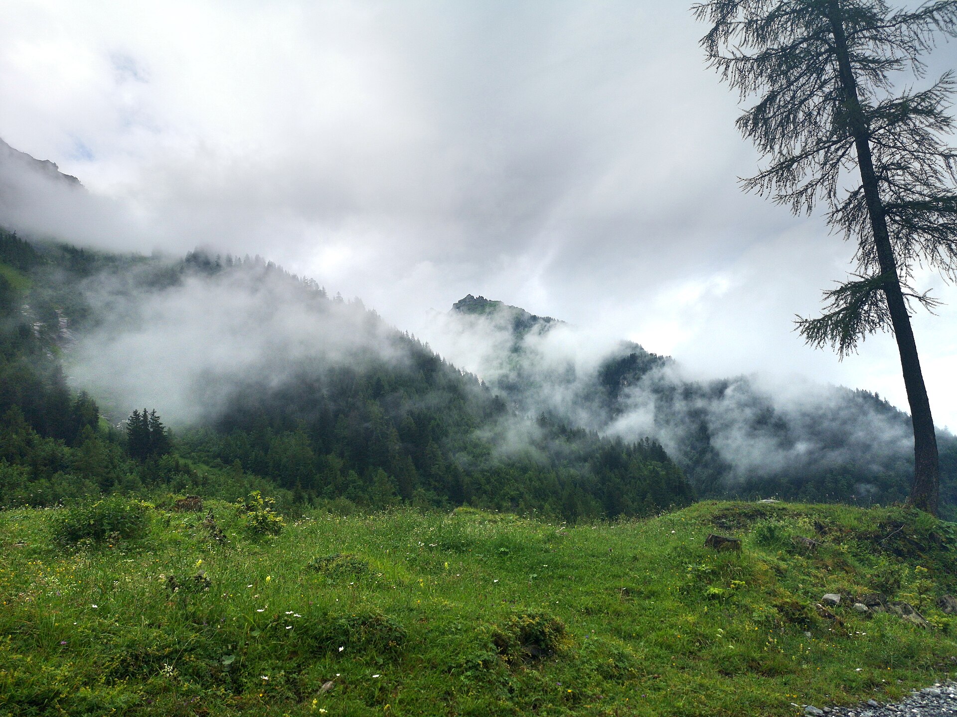 Switzerland Family Packages