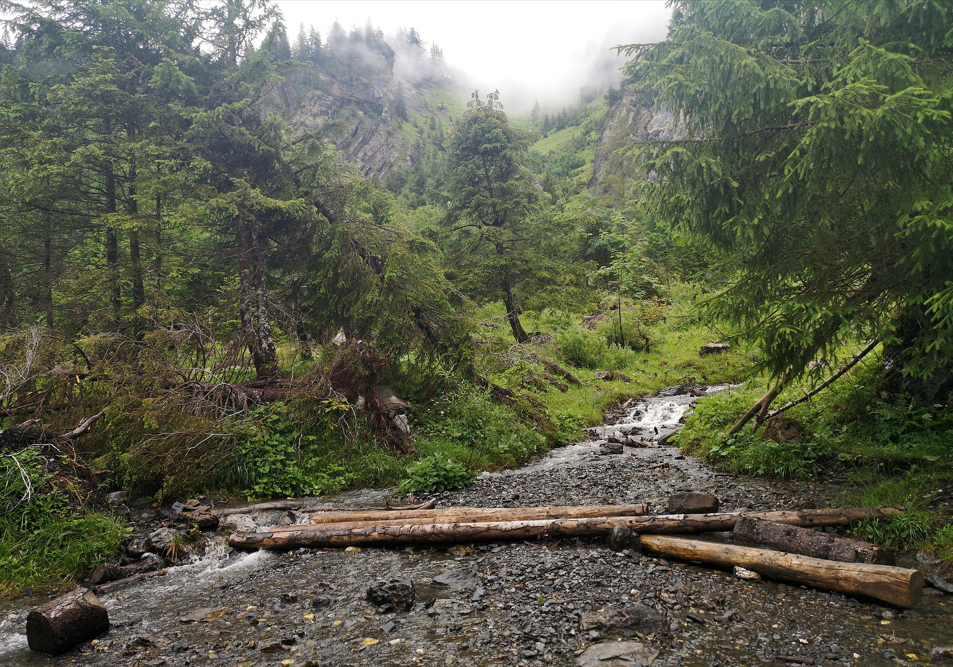 Switzerland Family Delight (5N/6D)