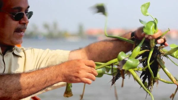 Kerala travel image 3