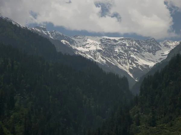 Manali Family Delight (5N/6D)