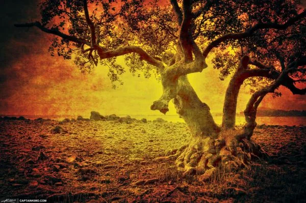 Thailand Signature Holiday (6N/7D)