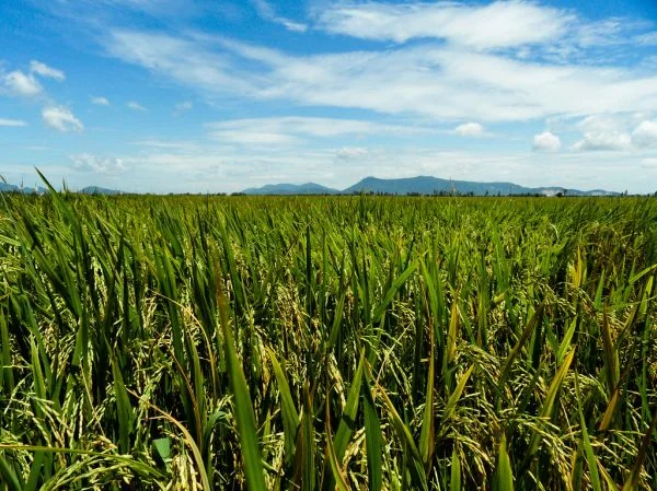 Vietnam travel image 3